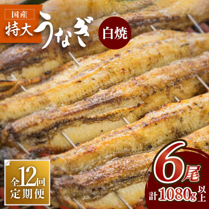 y12ցzO̍YȂ̔ 6Zbg×12yۈz [FAD020]ꌧg샖1300000ECYȂ