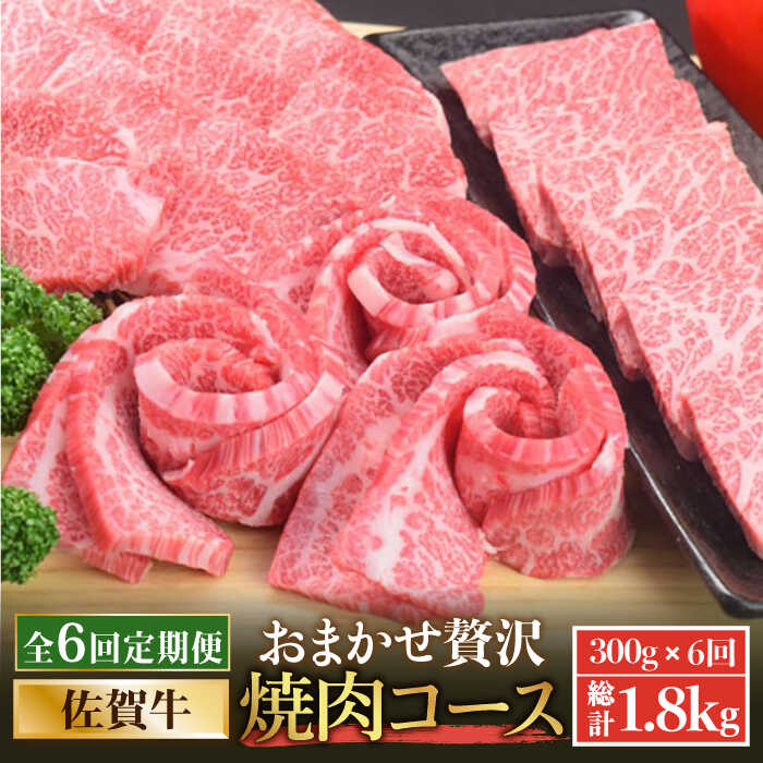 【全6回定期便】佐賀牛希少部位含む〜ひとり贅沢焼肉コース〜 ランプ/クリ/トウガラシ/ザブトン/カイノミなど【ミートフーズ華松】 ブランド 高級 和牛 霜降り BBQ やわらか 冷凍 料理  精