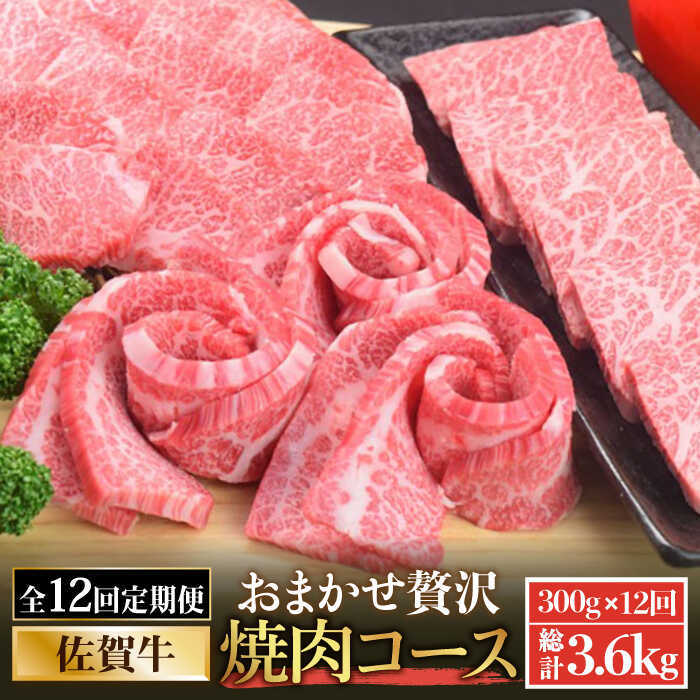 【全12回定期便】佐賀牛希少部位含む〜ひとり贅沢焼肉コース〜 ランプ/クリ/トウガラシ/ザブトン/カイノミなど【ミートフーズ華松】 ブランド 高級 和牛 霜降り BBQ やわらか 冷凍 料理  精