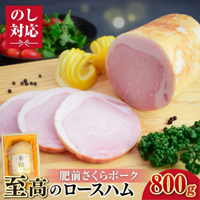 O|[N [Xn800g g샖/~[gt[Y؏ [FAY100]ꌧg샖20000ؓ
