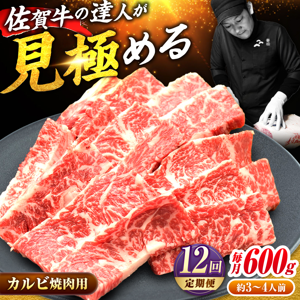 yS12ցz]!  ꋍ Jr 600g    g샖/~[gt[Y؏ [FAY104]ꌧg샖240000