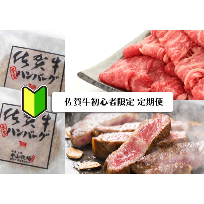 yꋍv6ցzꋍ̏SҌ [FAZ045]ꌧg샖75000