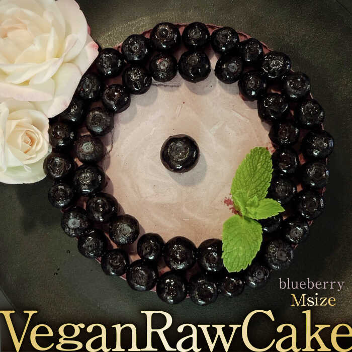 A100 Vegan Raw Cake Blueberryiu[x[/MTCYjEEisgp̃XC[c B[K[P[L g샖/Dondonyokunaru [FCF053]ꌧg샖23000َqEXC[c