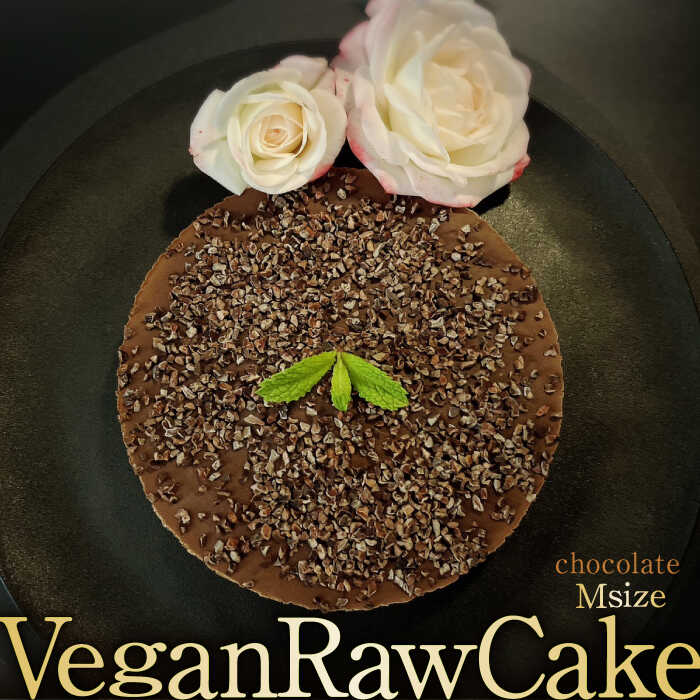 A100 Vegan Raw Cake Chocolatei`R[g/MTCYjEEisgp̃XC[c B[K[P[L g샖/Dondonyokunaru [FCF056]ꌧg샖18000َqEXC[c