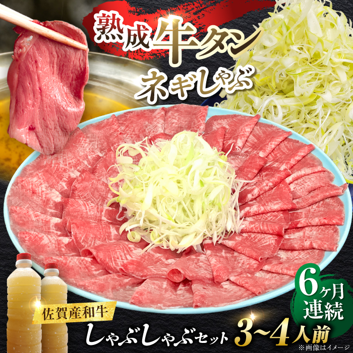 yS6ցzYa ^ԂԃZbg 500g v3kg g샖/₫Ƃ䎟Y [FCJ060]ꌧg샖720000
