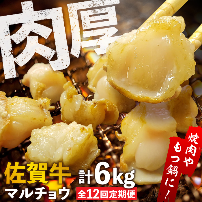 yS12ցz yÂĂՂՂIzꋍz ēp  v6kgi250g/܁jtȂ g샖/₫Ƃ䎟Y [FCJ093]ꌧg샖145000