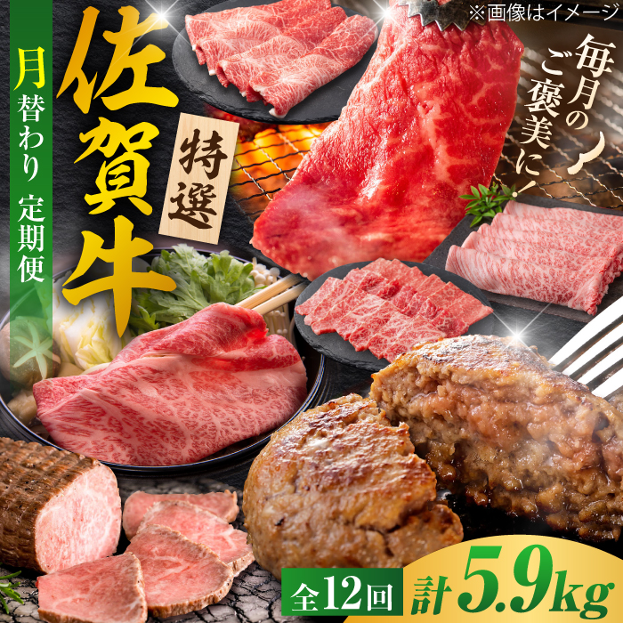 yS12ցz30R[XIꋍ ւoGeBpbN v5.9kg Ж/g샖 [FCV005]ꌧg샖300000