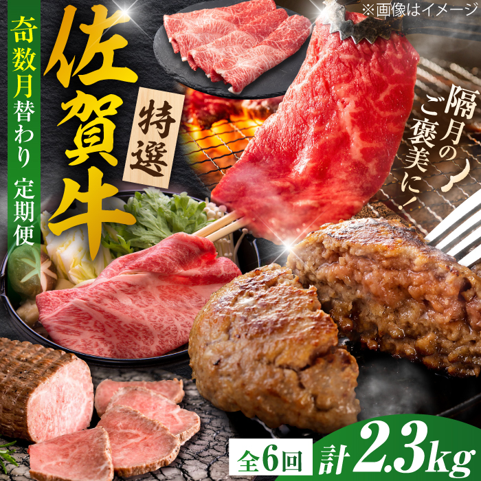 yS6/z10R[XIꋍ ւoGeBpbN v2.3kg Ж/g샖 [FCV006]ꌧg샖100000