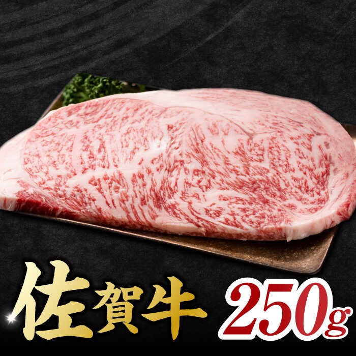  I ꋍ T[CXe[L 250g i250g×1j g샖 [FDB009]ꌧg샖8000