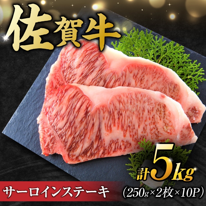 ys󂠂zꋍ T[CXe[L 5kg i 250g 2×10pbNj g샖 [FDB012]ꌧg샖150000