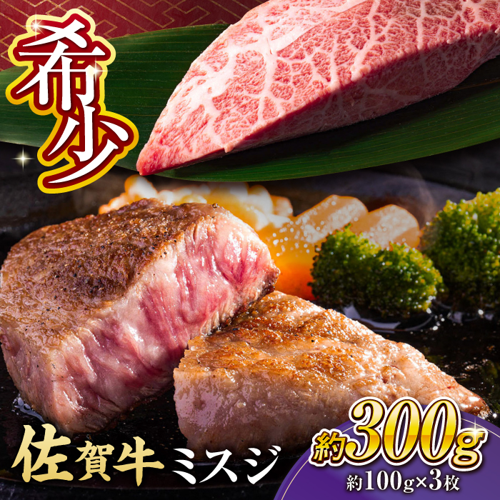 yI󏭕ʁz ꋍ ~XWXe[L 300gi100×3j g샖 [FDB067]ꌧg샖10000