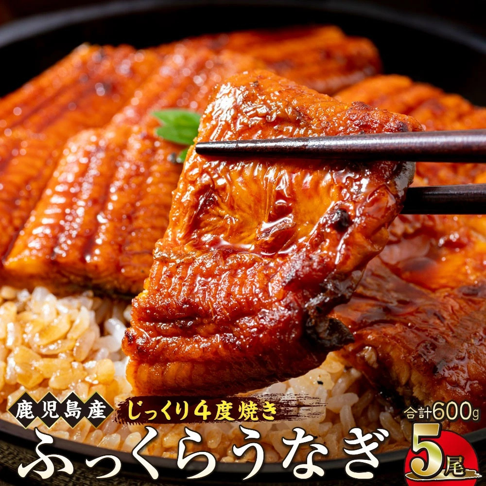 うなぎ 蒲焼 120g×5尾【鹿児島産】地下水で育てた絶品鰻鹿児島県大崎町26000魚介・海産物うなぎ