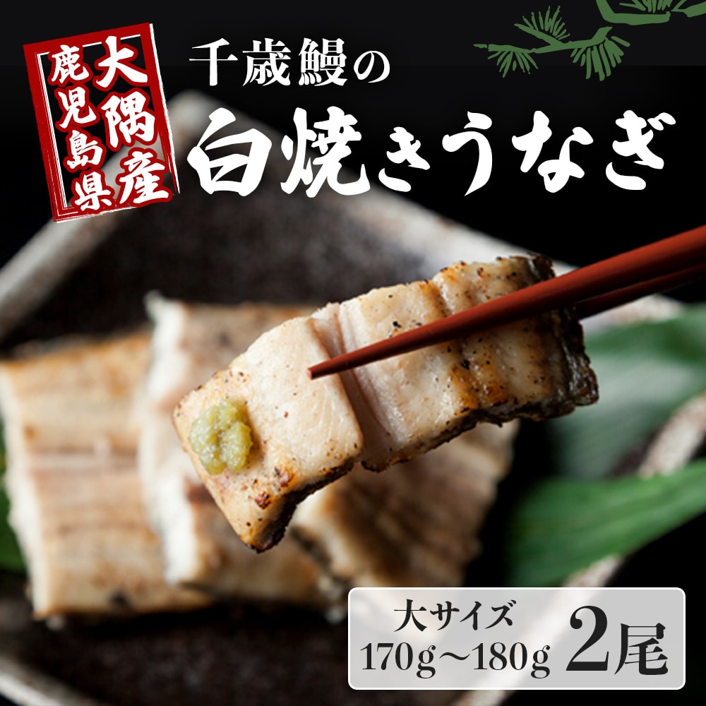 鹿児島県大隅産 千歳鰻の白焼鰻「大」2尾鹿児島県大崎町17000魚介・海産物うなぎ