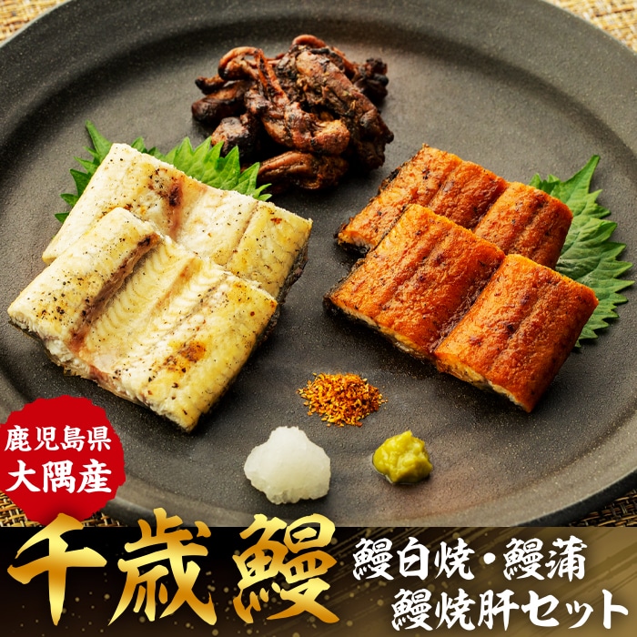 鹿児島県大隅産 千歳鰻の鰻白焼・鰻蒲・鰻焼肝セット鹿児島県大崎町17000魚介・海産物うなぎ