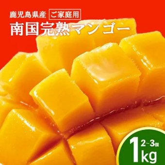 y2026Nzyƒpz̒@썑n}S[i1j蒬13000ʕEt[c}S[EpCibv