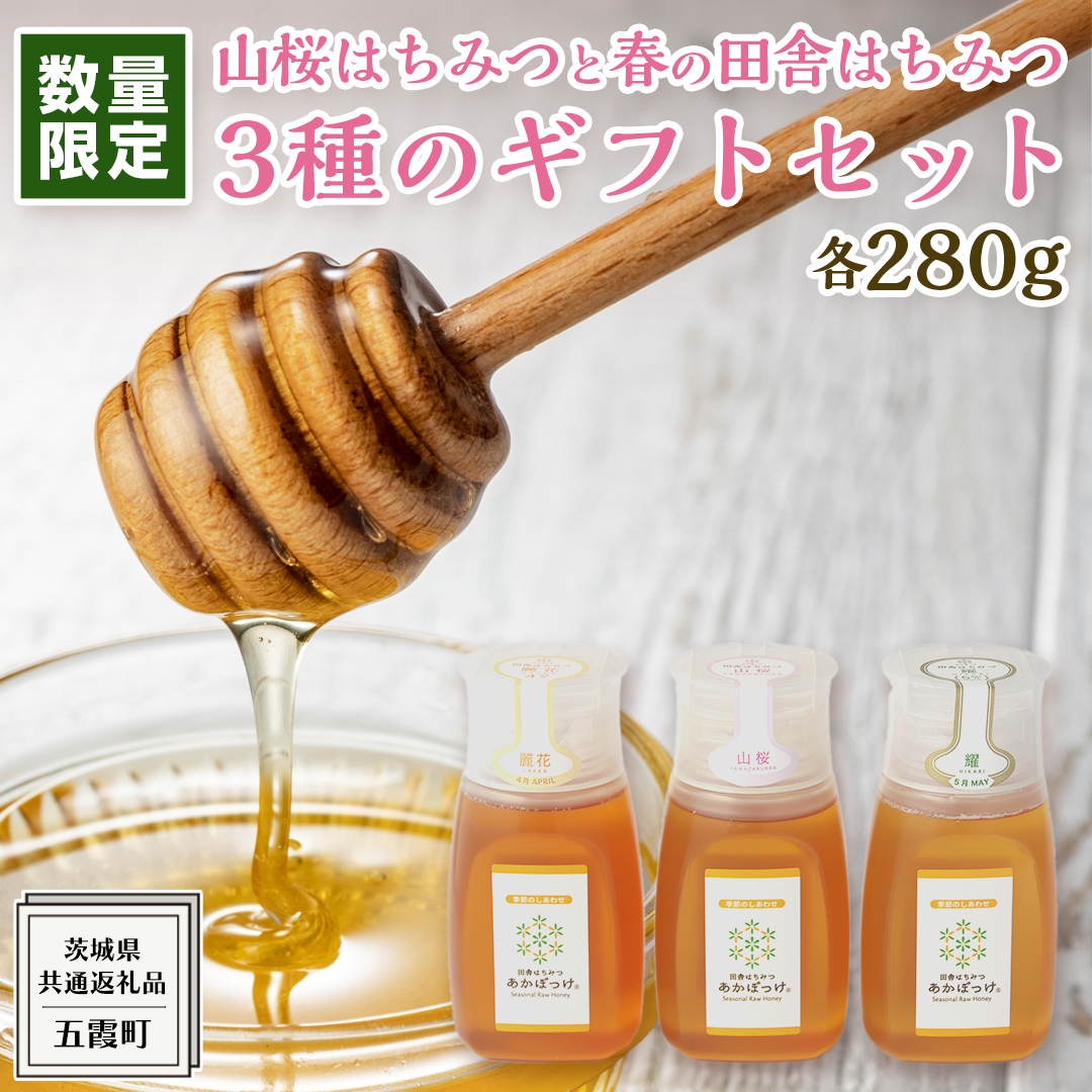 日本ミツバチの蜂蜜 2.7kg 非加熱 無添加 純粋100％垂れ蜜 - その他