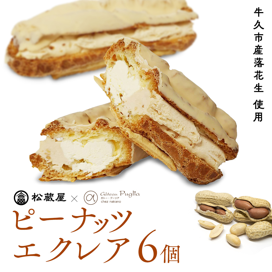 ピーナッツ エクレア 6個 甘い おいしい 美味しい ピーナツ スイーツ おうちカフェ お菓子 おやつ お取り寄せ 国産 茨城 特産品茨城県牛久市11000野菜・きのこ豆類