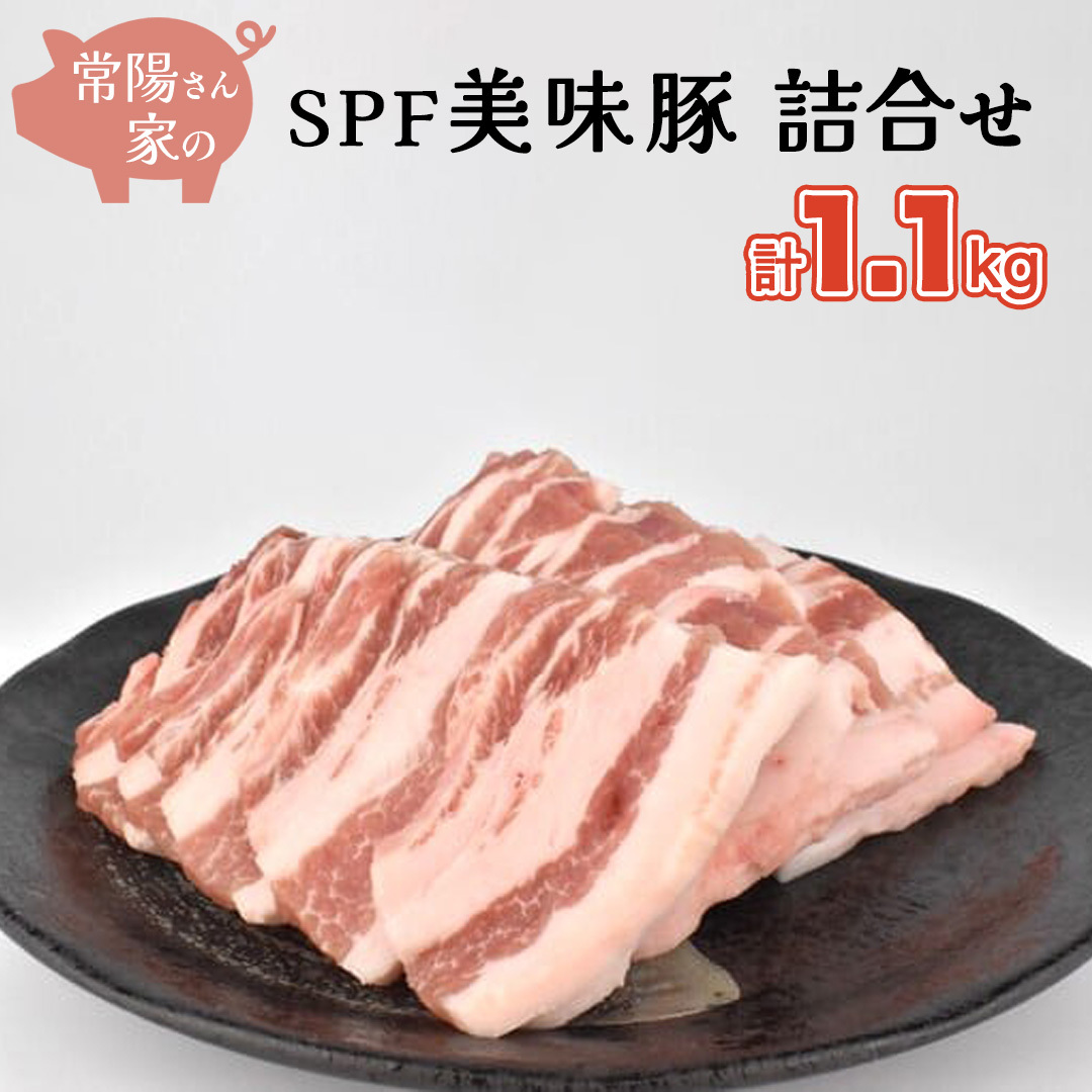 常陽さん家の SPF 美味豚 詰合せ 計 1.1kg 食べ比べ セット 豚肉 ロース しゃぶしゃぶ用 300g×2 バラ焼き肉用 500g 計 1.1kg 国産 ブランド豚 銘柄豚 茨城 SPF認定 農場 焼肉 焼き肉 豚ロース 豚バラ