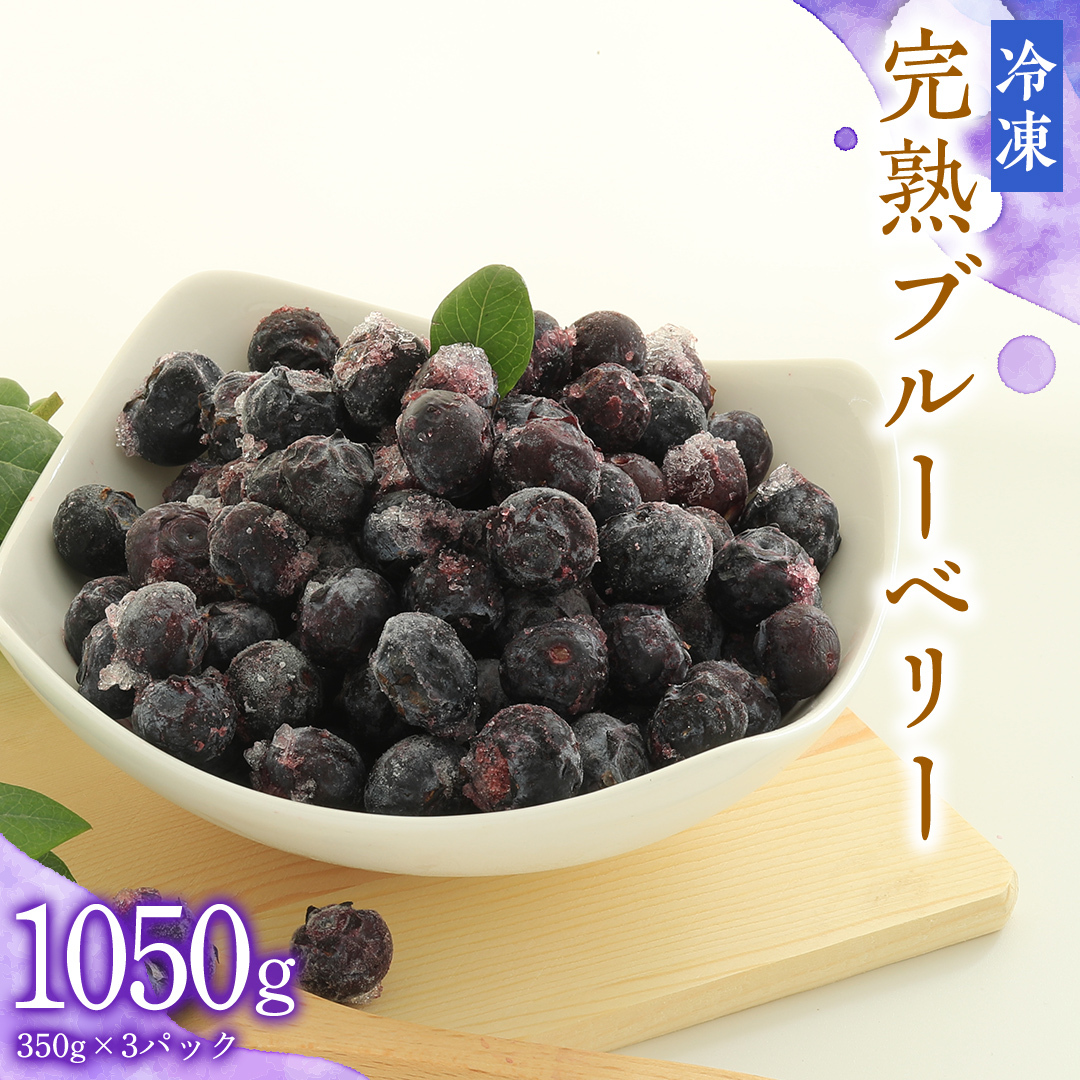 冷凍 完熟 ブルーベリー 1,050g( 350g × 3パック ) 数量限定 ベリー 甘い 甘酸っぱい 完熟 新鮮 フルーツ 果物 くだもの 贈り物 贈答 ギフト 国産 茨城 農園 産地直送茨城県牛久市15000果物・フ