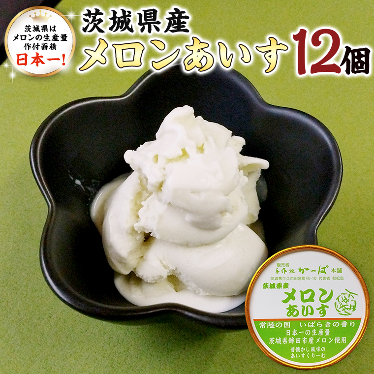 茨城県産メロンあいす 12個 アイス デザート めろん 贈り物 カップ 冷凍茨城県牛久市19000卵・乳製品その他卵・乳製品