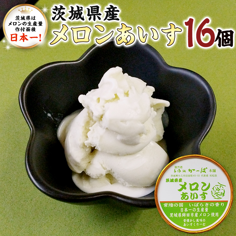 茨城県産メロンあいす 16個 アイス デザート めろん 贈り物 カップ 冷凍茨城県牛久市24000卵・乳製品その他卵・乳製品