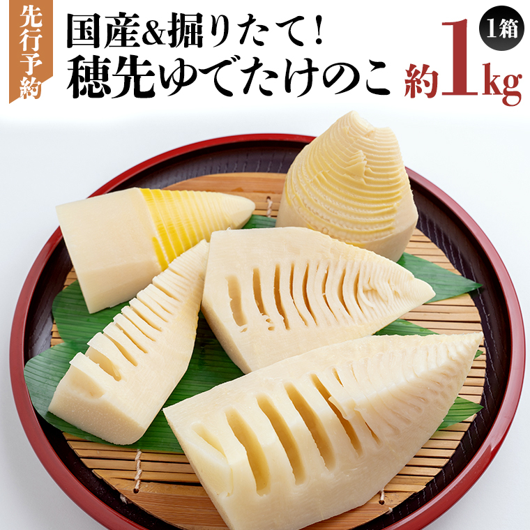 《 先行予約 》 掘りたて 穂先 ゆでたけのこ 約1kg 【 2026年 4月中旬 以降発送 】 野菜 春 旬 期間限定 数量限定 国産 産地直送 箱 真空パック 個包装 茹で 筍 タケノコ 竹の子茨城県牛久市16000