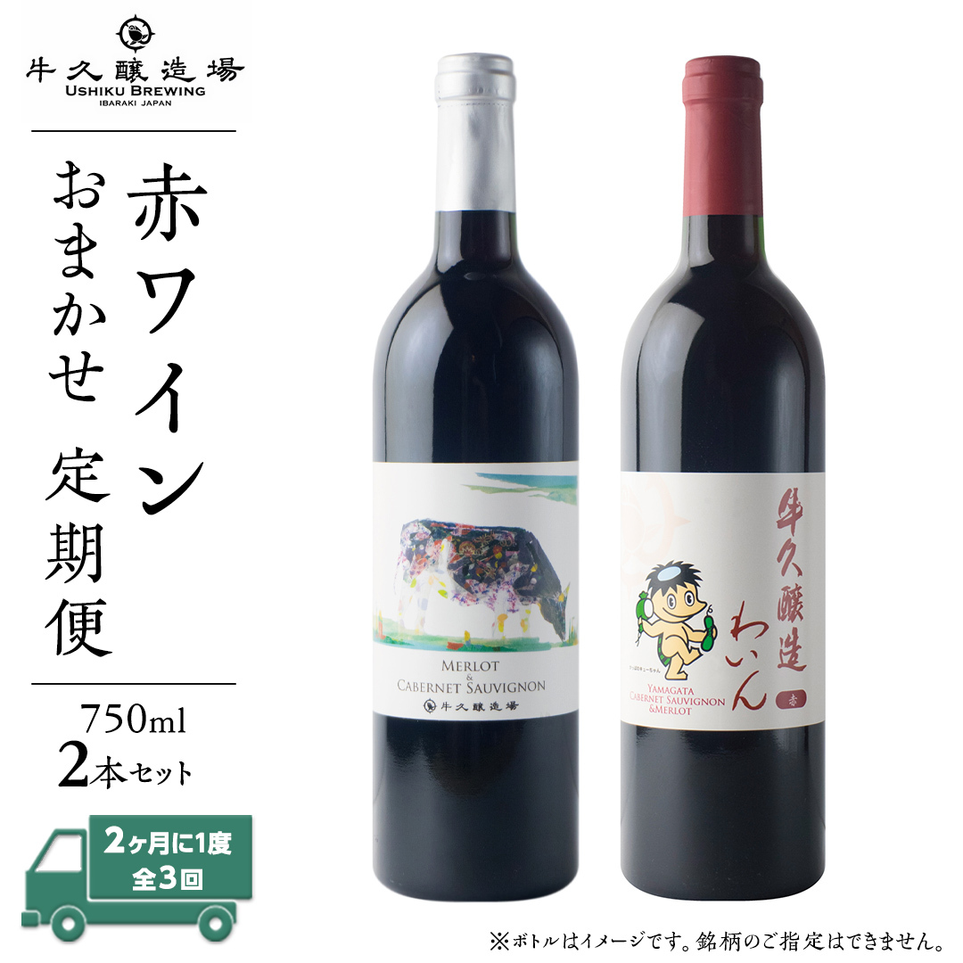 【 3ヶ月隔月 】 赤ワイン おまかせ 定期便 2本セット 飲み比べ 茨城県産 牛久醸造場 厳選 750ml × 2本 お酒 ワイン ワイン好き 初心者 上級者 贈り物 ギフト 詰め合わせ茨城県牛久市72000酒・ア