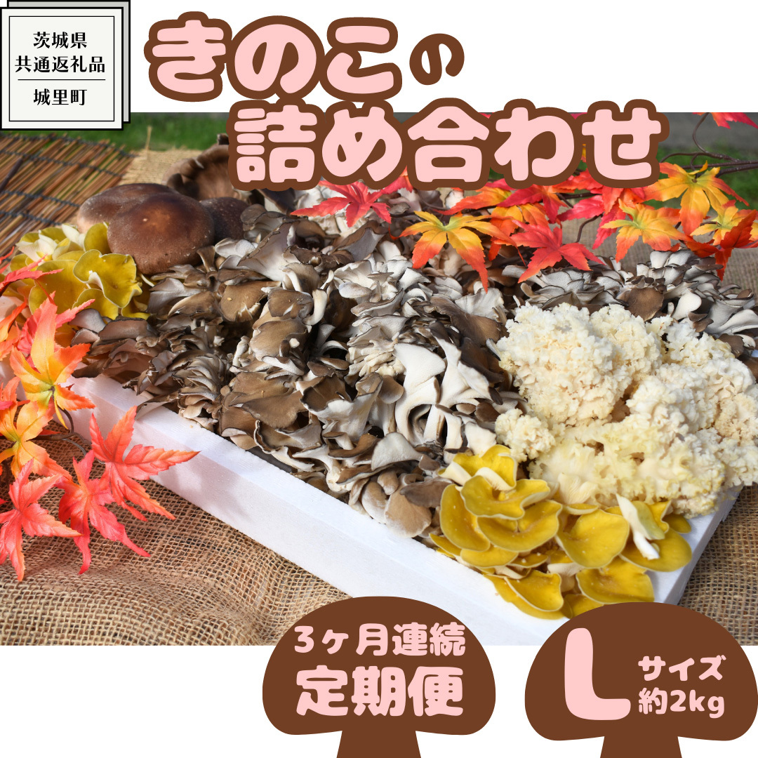 【3ヶ月定期便】きのこ の 詰め合わせ Lサイズ( 約2kg ) (茨城県共通返礼品:城里町) キノコ セット 野菜 低カロリー ダイエット デトックス バラエティ セット 新鮮茨城県牛久市51000野菜・
