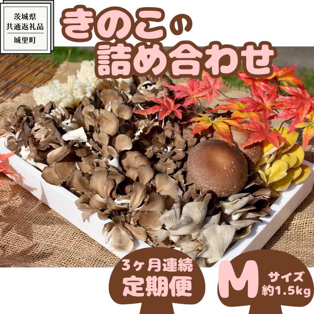 y 3A ẑ ̋lߍ킹 MTCY ( 1.5kg ) i錧ʕԗiF闢j LmR Zbg  J[ _CGbg fgbNX oGeB Zbg VN錧vs3600