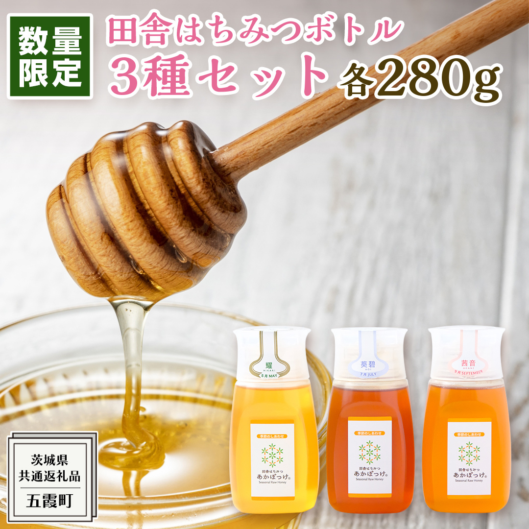 y ʌ zcɂ݂͂ {g 3 Zbg [ s^bƃ{g B3 280g ]i 錧ʕԗiF ܉ j G߂ňڂ낤 n`~c I M 錧Y Y VR  p錧v