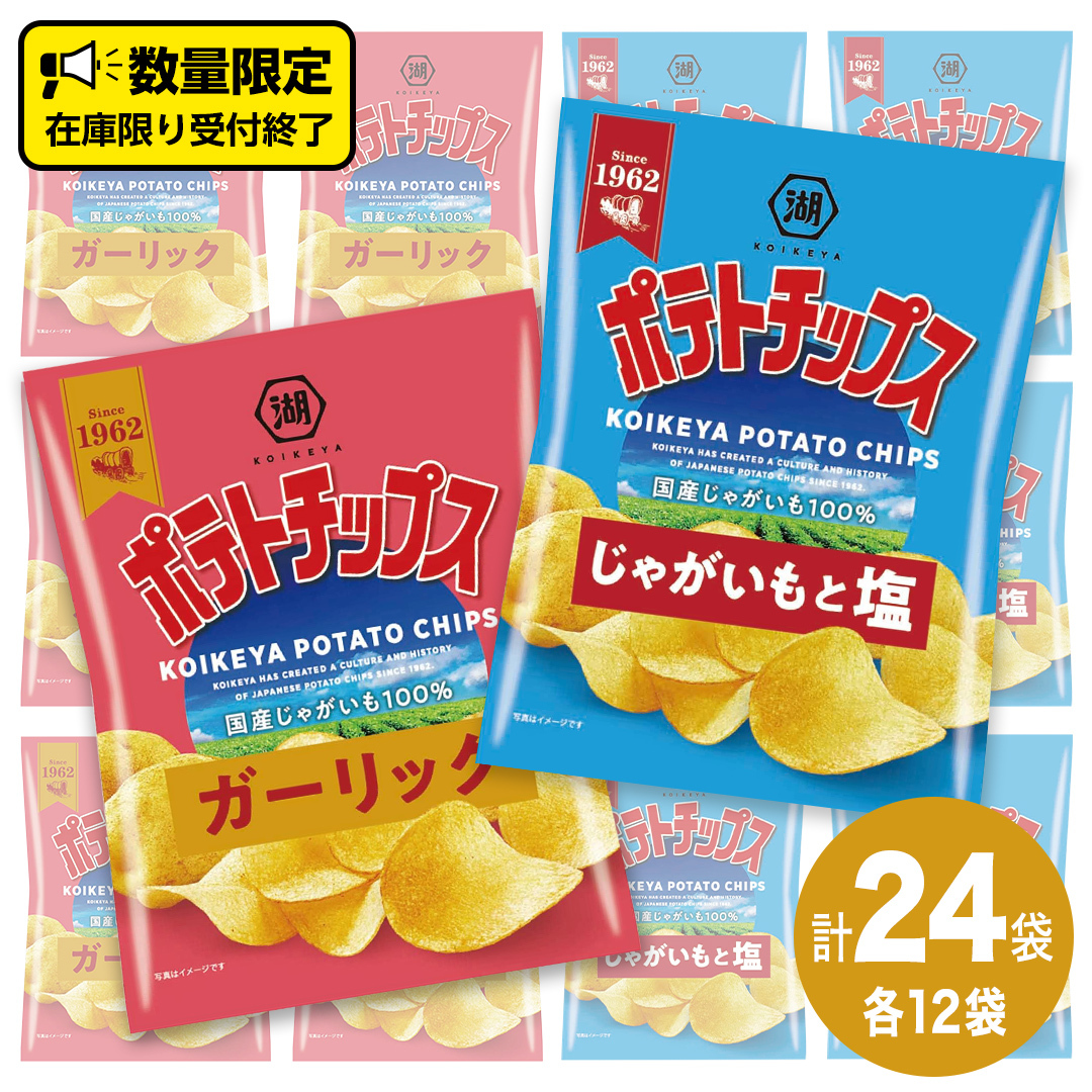 湖池屋 ポテトチップス 2種類アソート (じゃがいもと塩・ガーリック)(各12袋・計24袋) ポテチ お菓子 おかし 大量 スナック おつまみ ジャガイモ じゃがいも まとめ買い スナック菓子