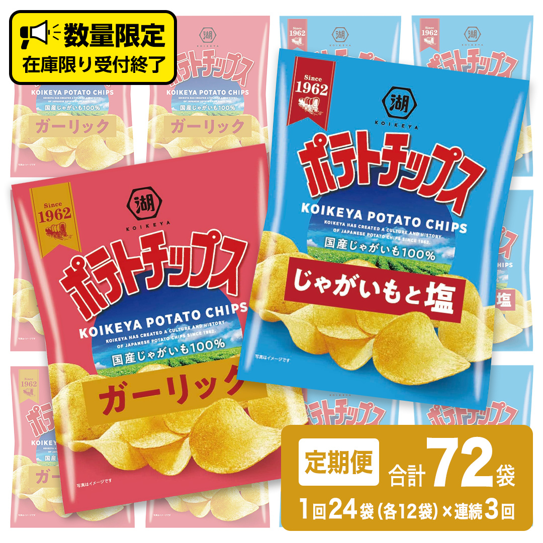 【 湖池屋 3ヶ月 定期便 】湖池屋 ポテトチップス 2種類アソート (じゃがいもと塩・ガーリック)(各12袋・計24袋 ×3回) ポテチ お菓子 おかし 大量 スナック おつまみ ジャガイモ じゃが