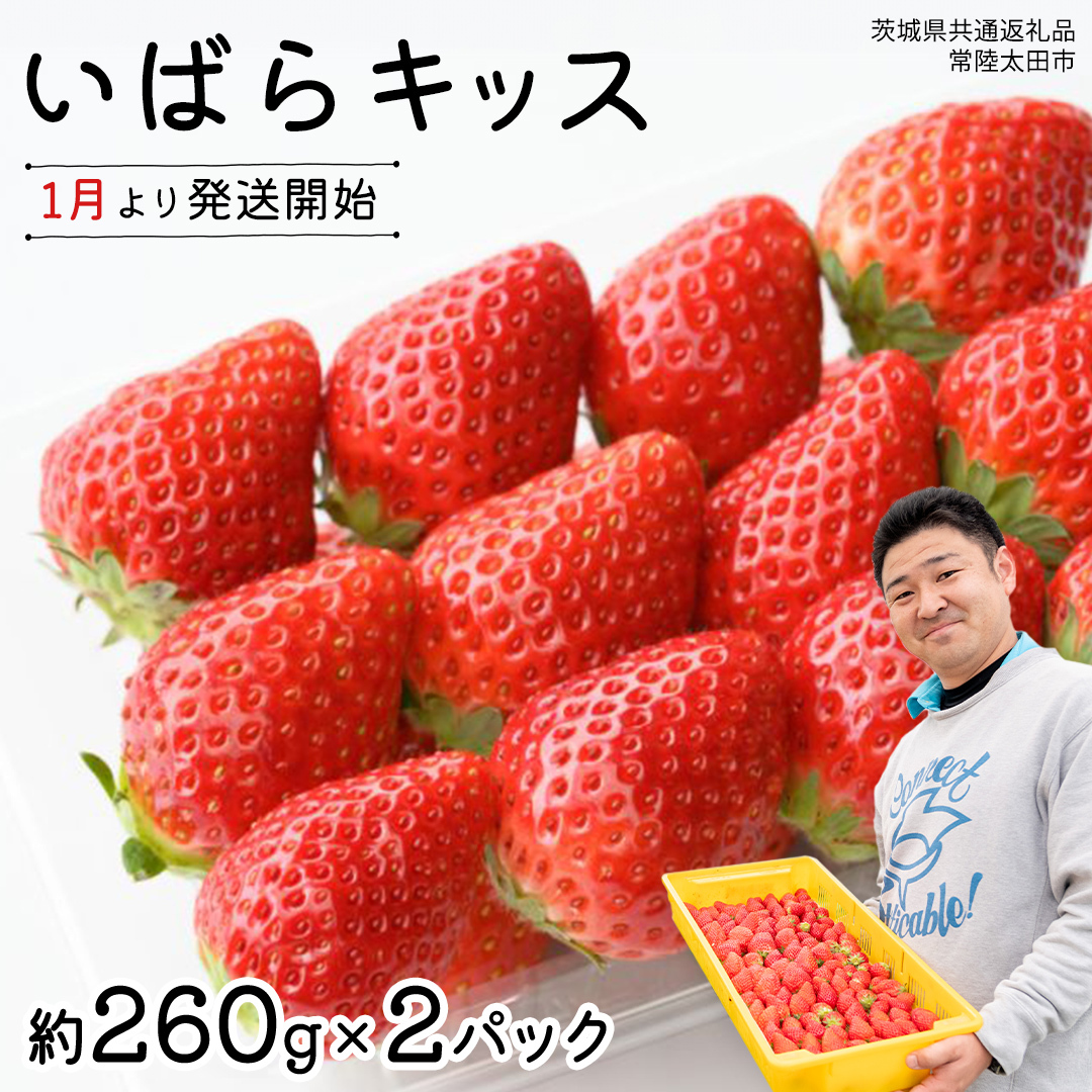 y s\ z 錧i ΂ LbX ( 2pbN × 1 )y 2026N1甭Jn z ( 錧ʕԗi : 헤cs )  260g × 2 pbN ΂LbX ΂炫  ʌ ʕ