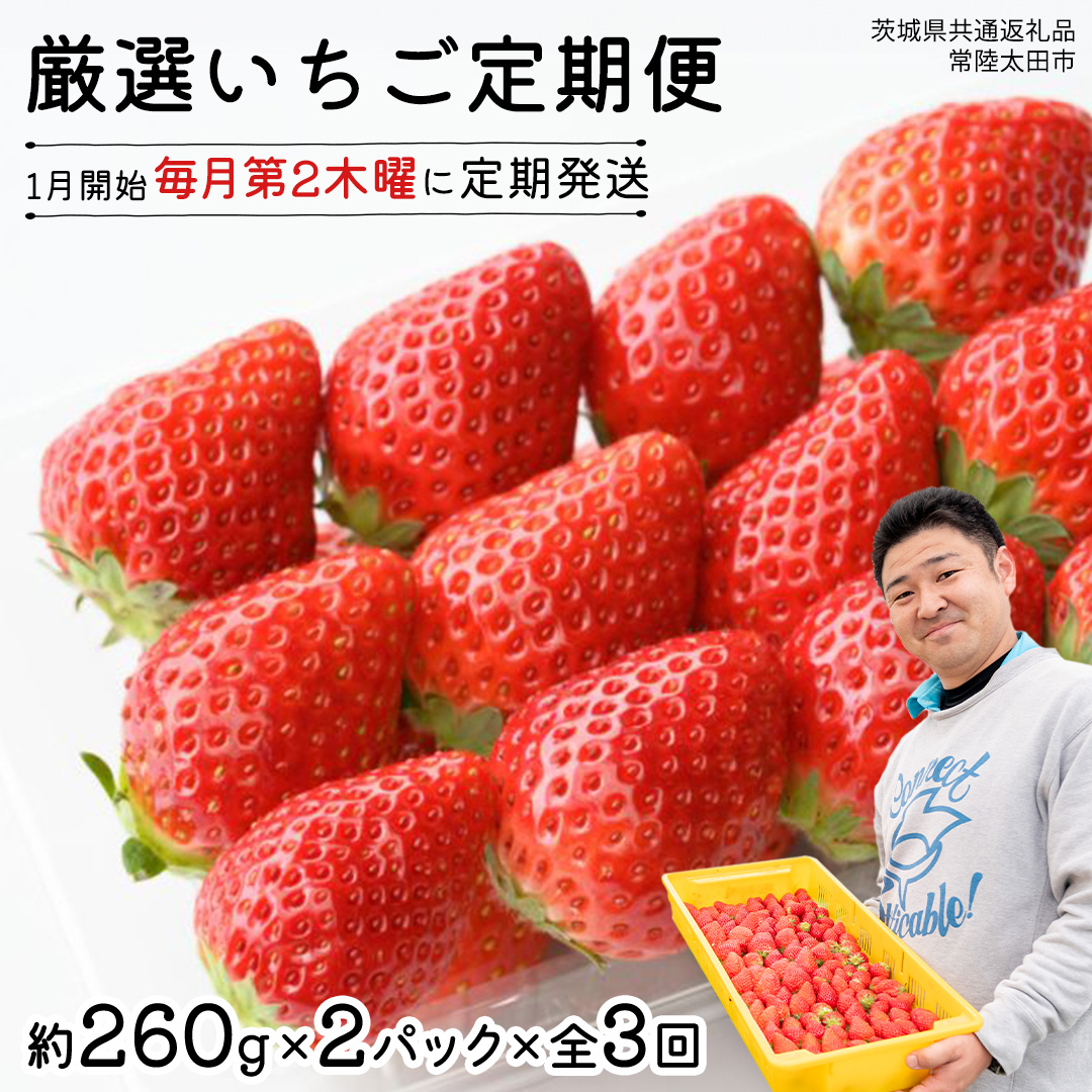【 先行予約 】 【 定期コース 】 厳選 いちご?2パック 【 毎月 第2木曜に全3回発送 初回発送 2026年1月15日 】 ( 茨城県共通返礼品 : 常陸太田市 ) 約260g×2パック いばらキッス ひたち姫 やよい