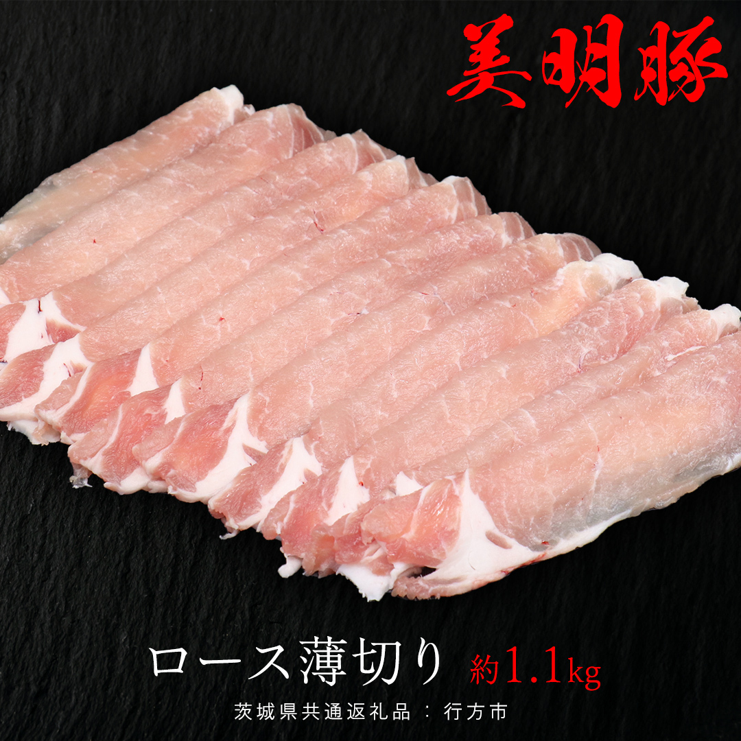  [X؂ 1.1kg i錧ʕԗiFssj т߂Ƃ rCg uh   ؓ  錧Y Y Ⓚ ؃[X ؂錧vs11000ؓ
