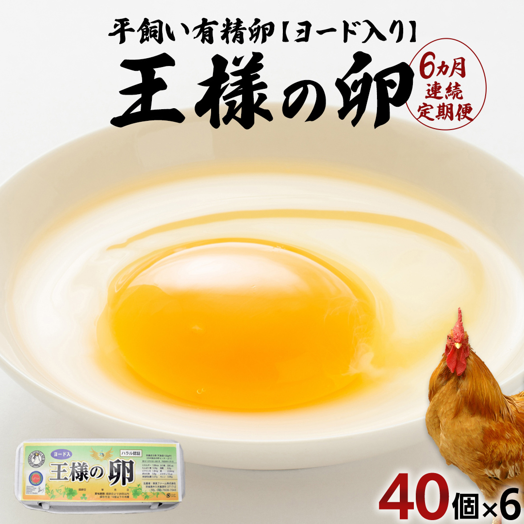 y6 A ցzl̗ [h 40 v240  n{ L Z  藑 ܂  Еz 錧vs69000Eii{AG{j