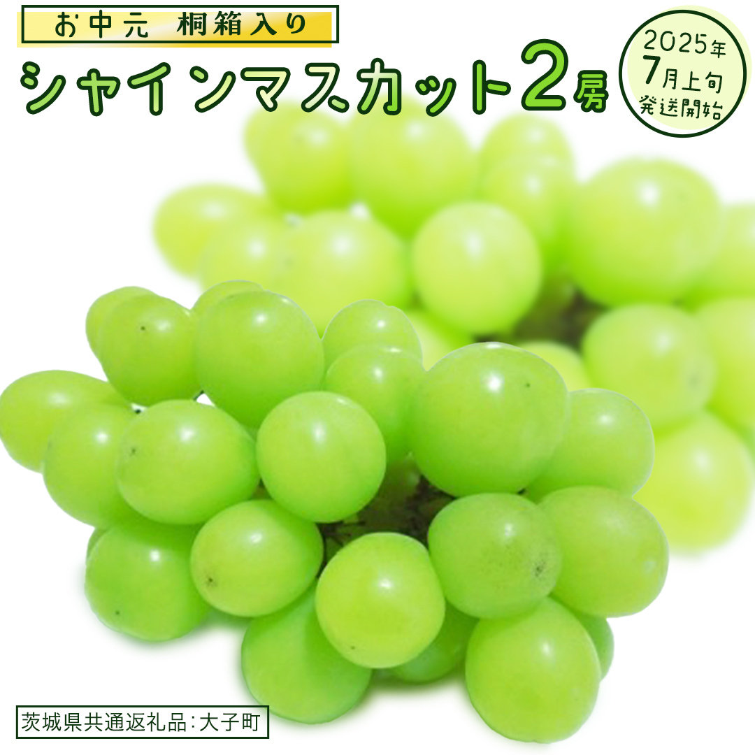 【 お中元 桐箱入り】 シャインマスカット 2房 【2025年7月上旬発送開始】(茨城県共通返礼品:大子町) ぶどう 葡萄 マスカット フルーツ 果物 贈答用 ギフト 贈り物茨城県牛久市40000果物・