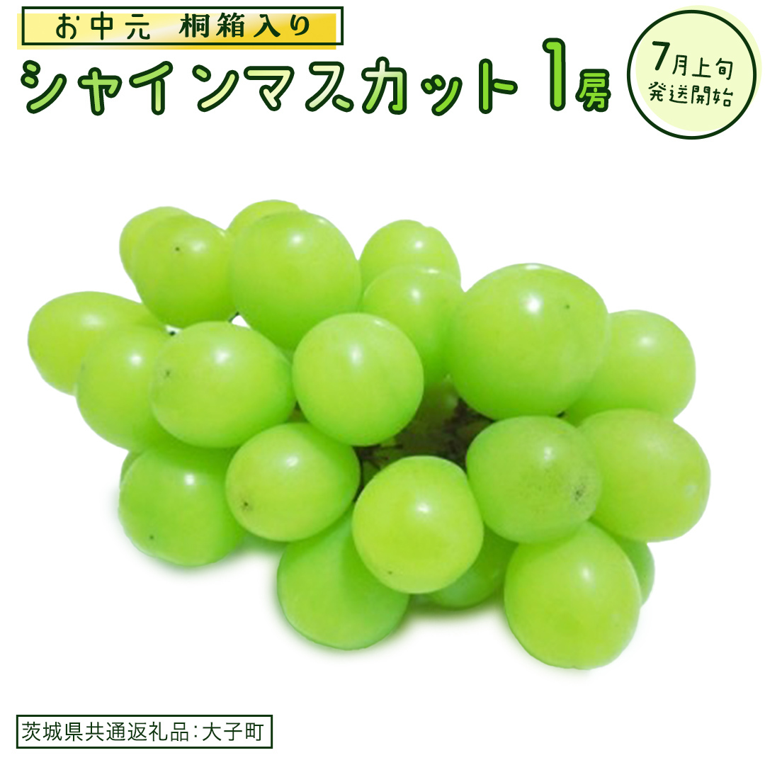 【 お中元 桐箱入り】 シャインマスカット 1房 【2026年7月上旬発送開始】(茨城県共通返礼品:大子町) ぶどう 葡萄 マスカット フルーツ 果物 贈答用 ギフト 贈り物茨城県牛久市25000果物・