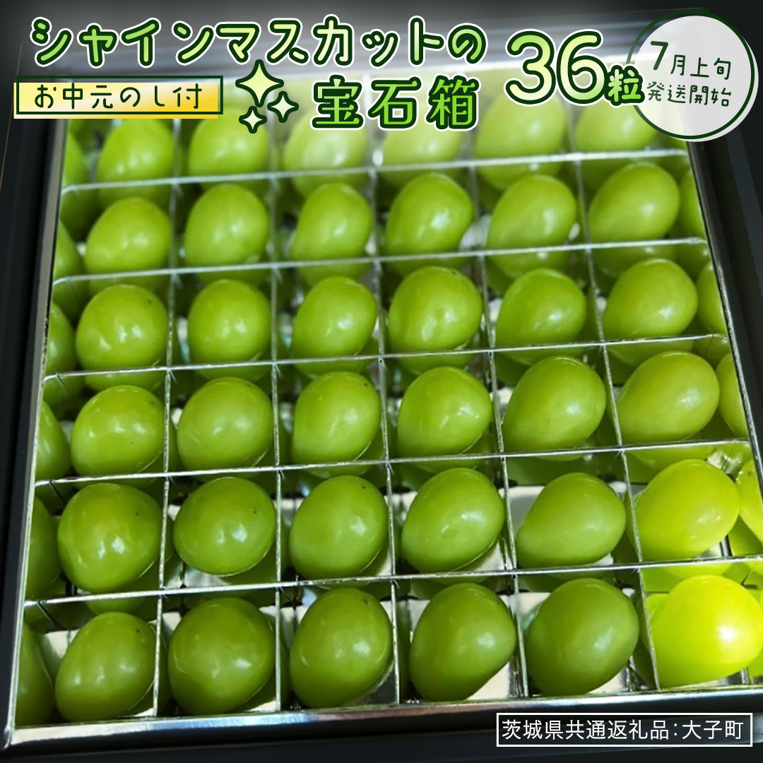 y  zw VC}XJbg ̕Δ (36) xy2026N7{Jnz(錧ʕԗiFq) Ԃǂ  }XJbg t[c ʕ p Mtg 蕨錧vs30000