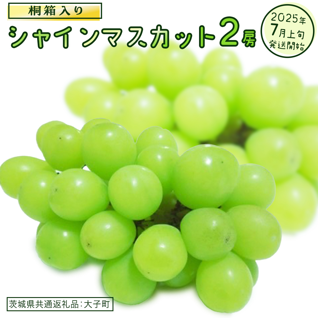 y˔z VC}XJbg Q[ y2025N7{Jnz(錧ʕԗiFq)  Ԃǂ  }XJbg t[c ʕ p Mtg 蕨錧vs40000ʕEt[c