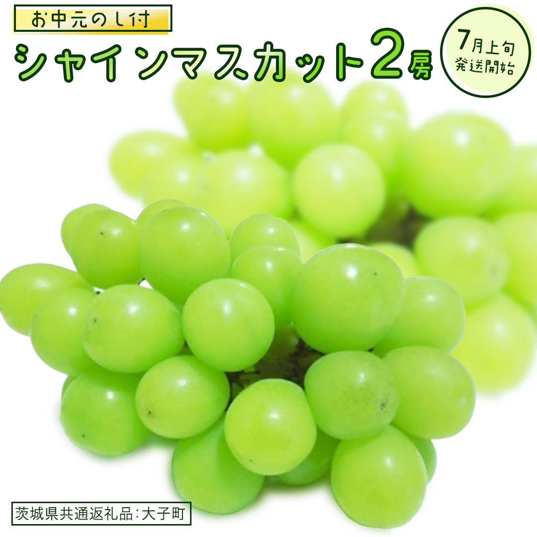 【 お中元 熨斗付き】 シャインマスカット 2房 【2026年7月上旬発送開始】(茨城県共通返礼品:大子町) ぶどう 葡萄 ブドウ マスカット フルーツ 果物 贈答用 ギフト 贈り物茨城県牛久市25000