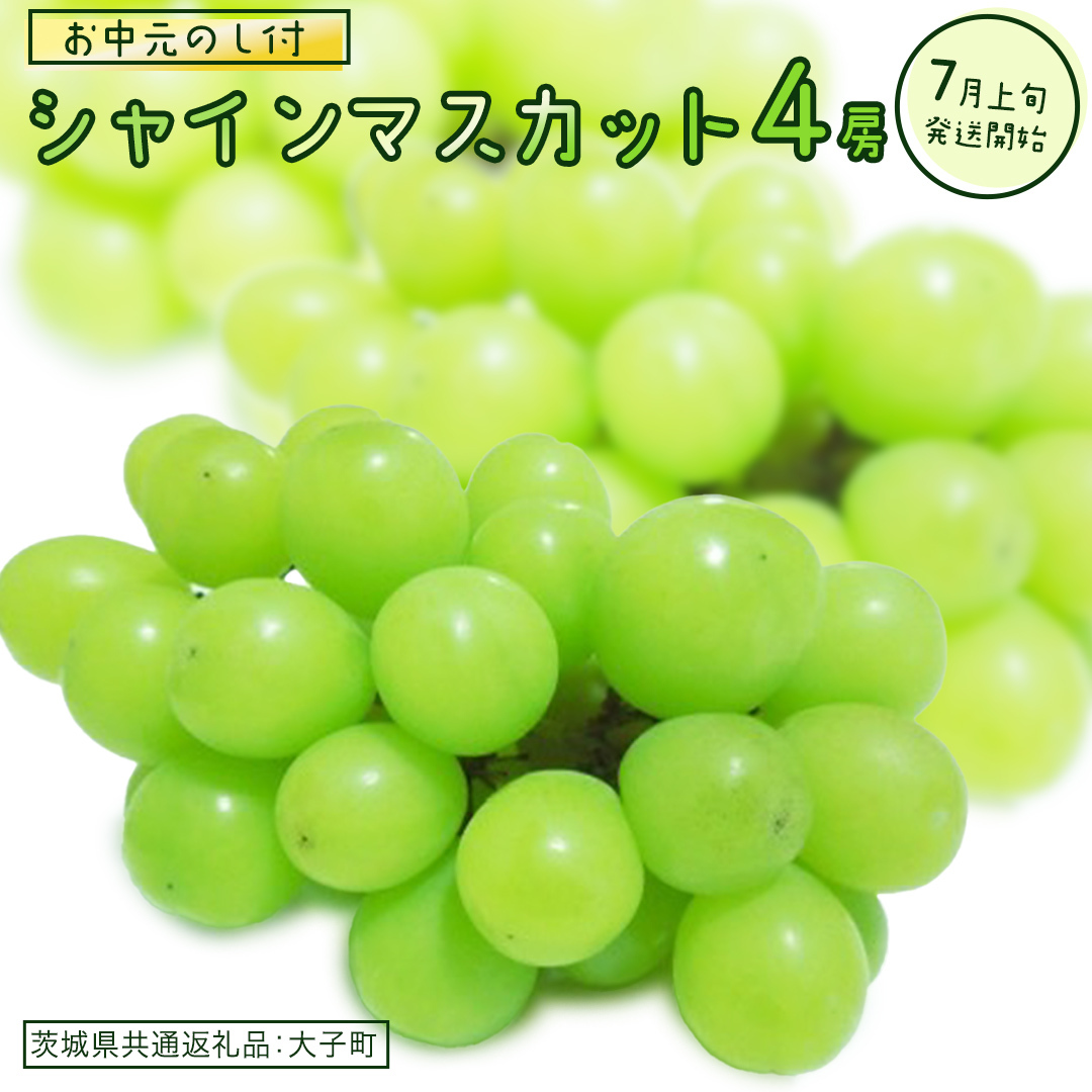 【 お中元 熨斗付き】 シャインマスカット 4房 【2026年7月上旬発送開始】(茨城県共通返礼品:大子町)  ぶどう 葡萄 ブドウ マスカット フルーツ 果物 贈答用 ギフト 贈り物茨城県牛久市40000