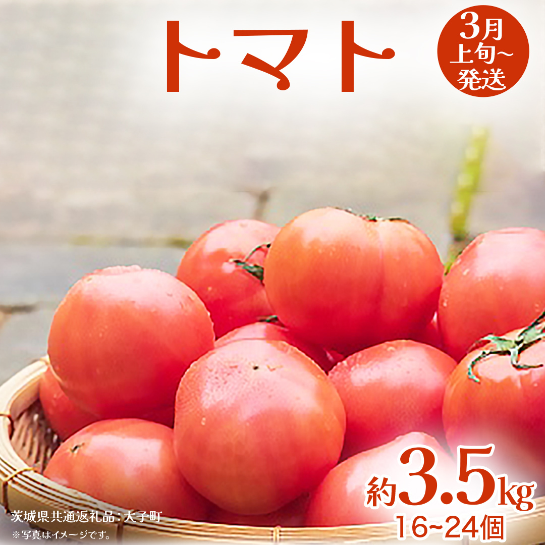 トマト 約3.5kg (16〜24個)【2026年3月上旬発送開始】(茨城県共通返礼品:大子町) とまと 野菜 やさい茨城県牛久市8400野菜・きのこトマト