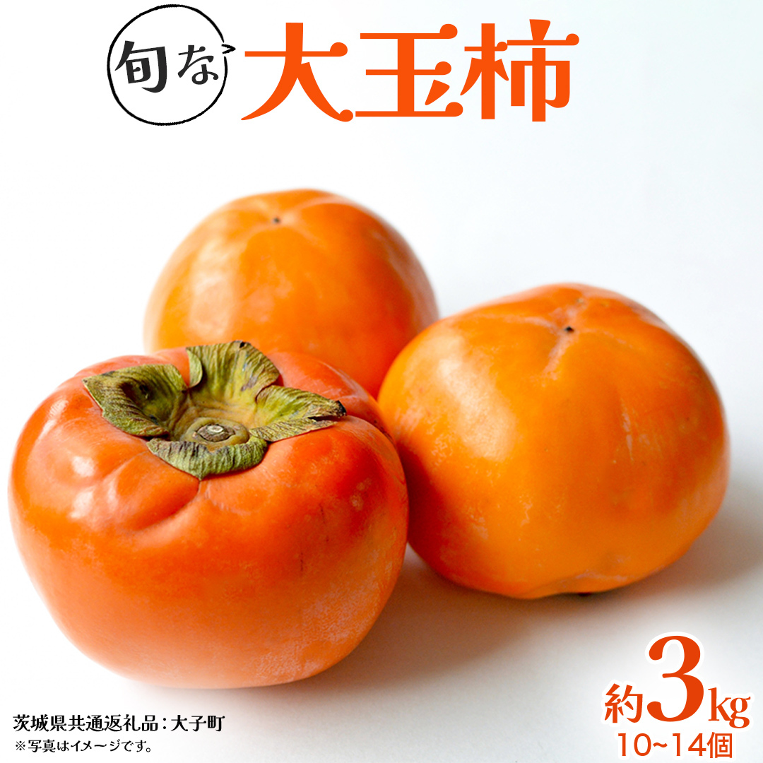 旬な大玉 柿 約3kg 10〜14個 【2025年10月上旬発送開始】(茨城県共通返礼品:大子町)柿 かき カキ 果物 フルーツ 旬 季節限定 期間限定茨城県牛久市25000果物・フルーツその他 果物・フルーツ