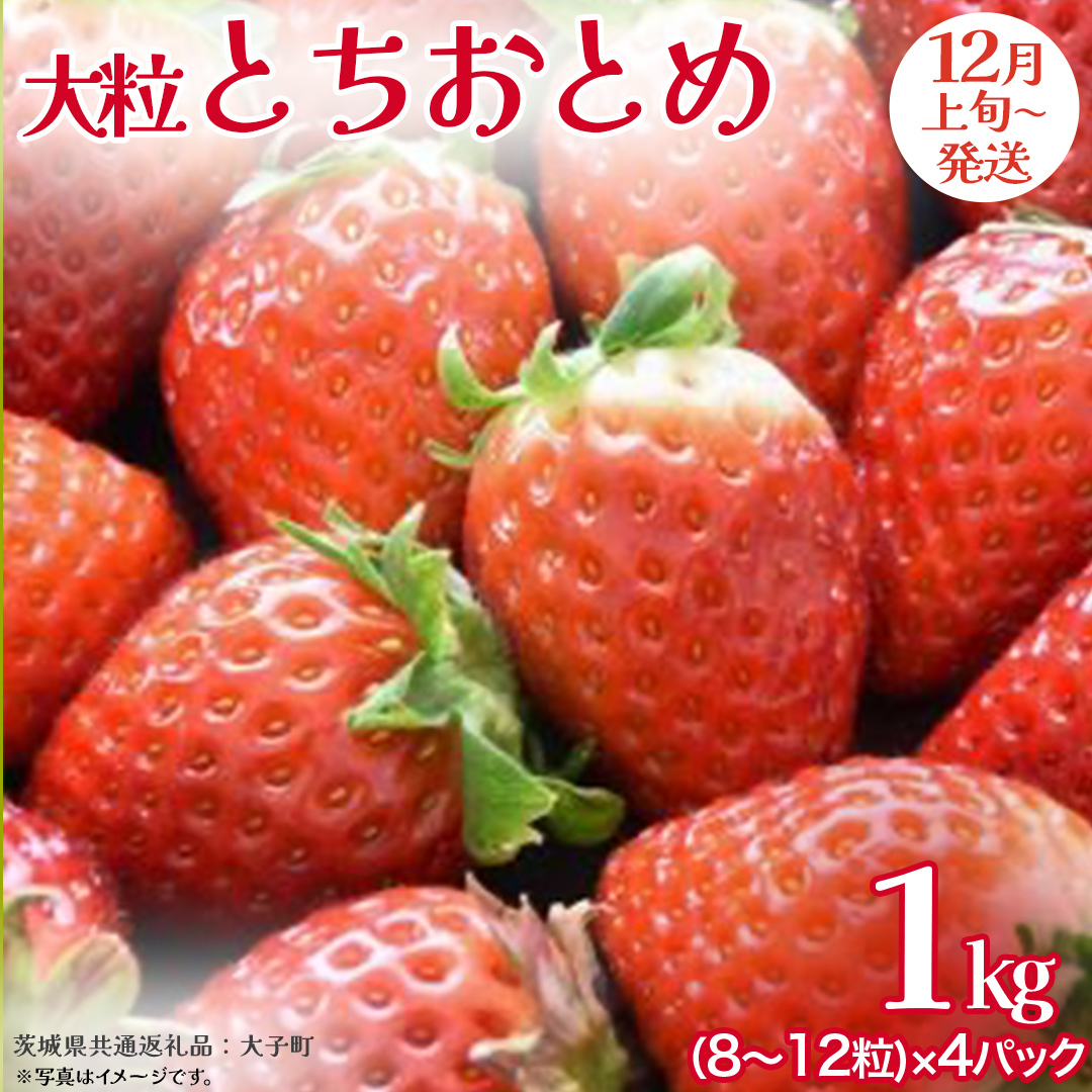 ƂƂ 嗱 250gi8`12j×4pbNy2025N12{Jnz(錧ʕԗiFq)   ʕ t[c ʎ錧vs20000ʕEt[c