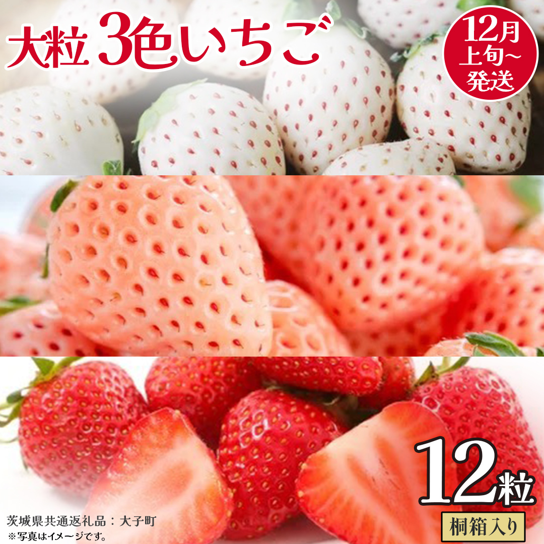 桐箱入り 大粒 3色いちご 12粒【2025年12月上旬発送開始】(茨城県共通返礼品:大子町) いちご 苺 果物 フルーツ 果実茨城県牛久市35000果物・フルーツいちご