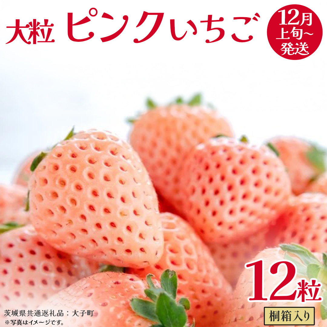 桐箱入り 大粒 ピンクいちご 12粒【2025年12月上旬発送開始】(茨城県共通返礼品:大子町) いちご 苺 果物 フルーツ 果実茨城県牛久市35000果物・フルーツいちご