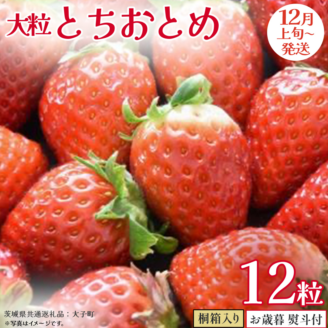 【 お歳暮 熨斗付き 】 桐箱入り 大粒 とちおとめ 12粒【2025年12月上旬発送開始】(茨城県共通返礼品:大子町) いちご 苺 果物 フルーツ 果実 贈答用 ギフト 贈り物茨城県牛久市35000果物・フル