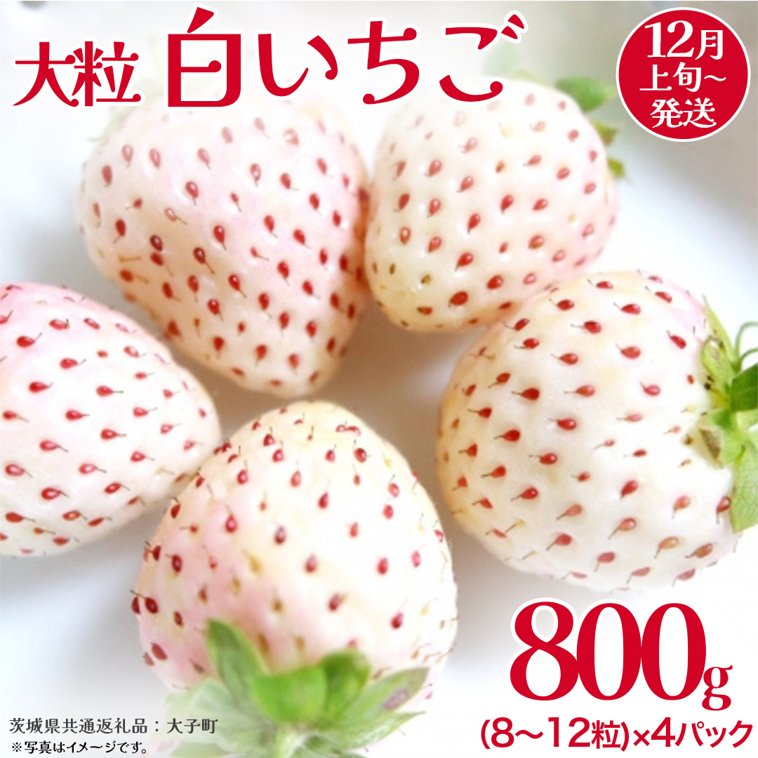  嗱 200i8`12j×4pbNy2025N12{Jnz(錧ʕԗiFq)   ʕ t[c ʎ錧vs35000ʕEt[c