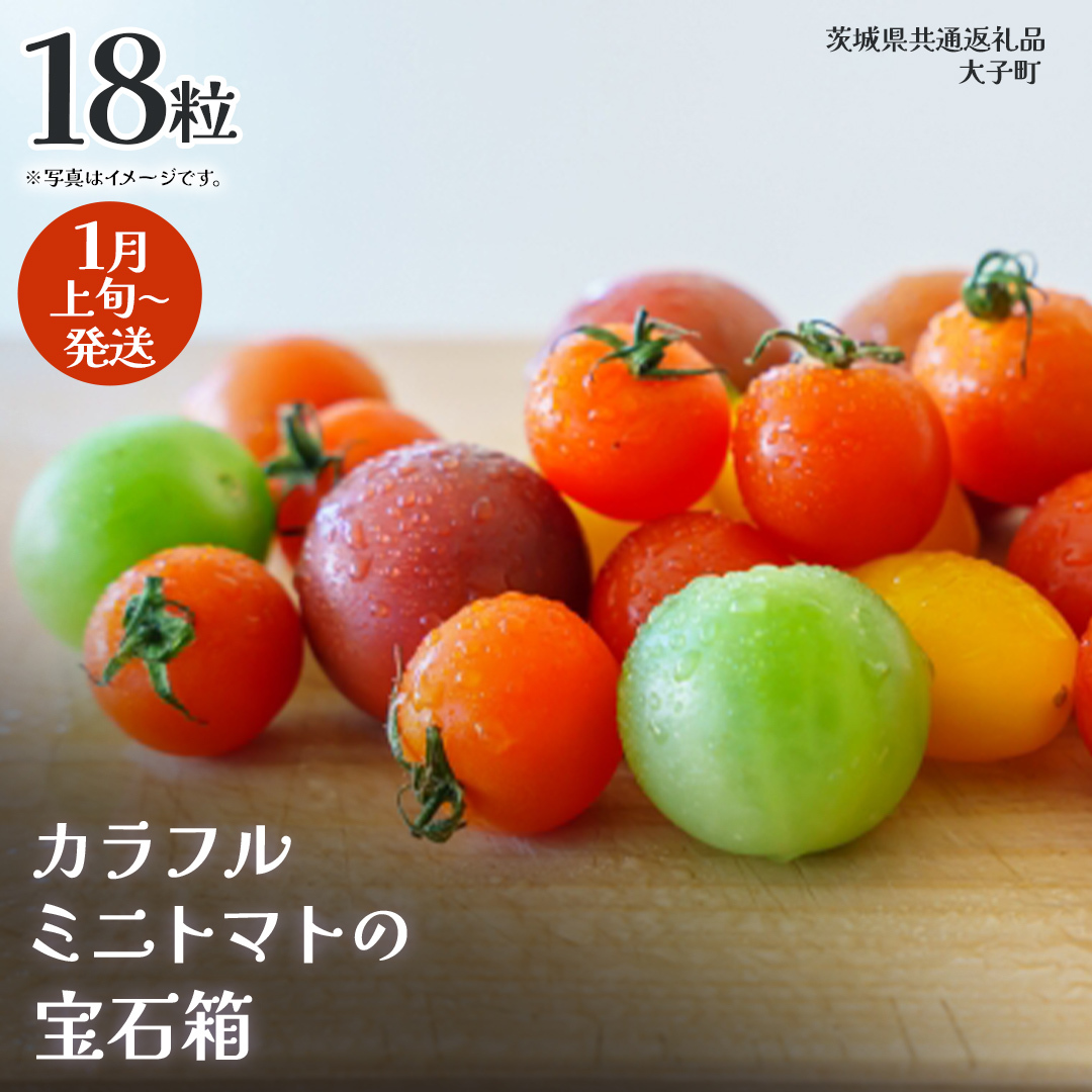 カラフル ミニトマト の宝石箱 18粒【2026年1月上旬発送開始】(茨城県共通返礼品:大子町) 野菜 フルーツ 旬 季節限定 期間限定茨城県牛久市20000野菜・きのこトマト